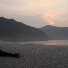 DSC09919