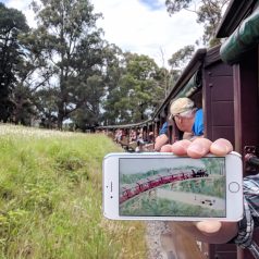 Puffing Billy